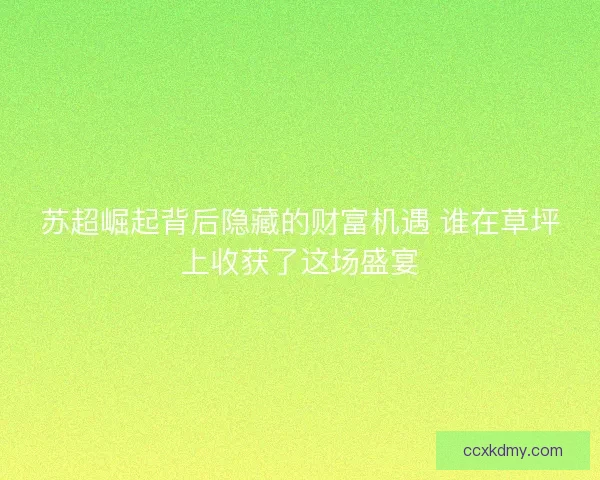 苏超崛起背后隐藏的财富机遇 谁在草坪上收获了这场盛宴