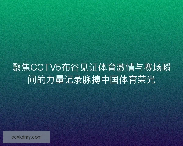 聚焦CCTV5布谷见证体育激情与赛场瞬间的力量记录脉搏中国体育荣光
