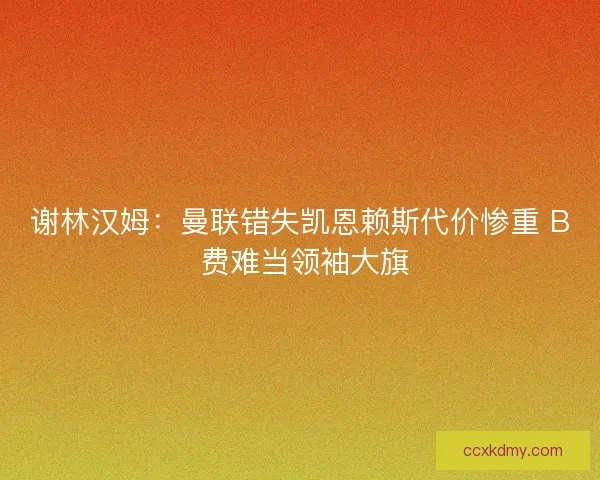 谢林汉姆：曼联错失凯恩赖斯代价惨重 B 费难当领袖大旗