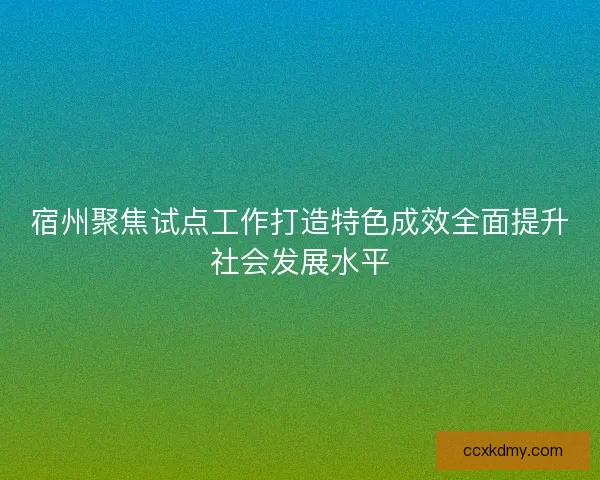 宿州聚焦试点工作打造特色成效全面提升社会发展水平 宿州聚焦试点工作打造特色成效全面提升社会发展水平