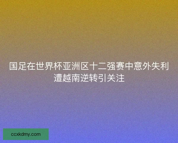 国足在世界杯亚洲区十二强赛中意外失利遭越南逆转引关注 国足在世界杯亚洲区十二强赛中意外失利遭越南逆转引关注